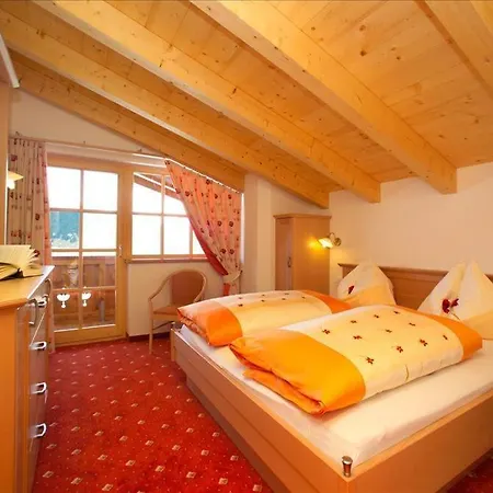 ホテル Handlerhof 3*